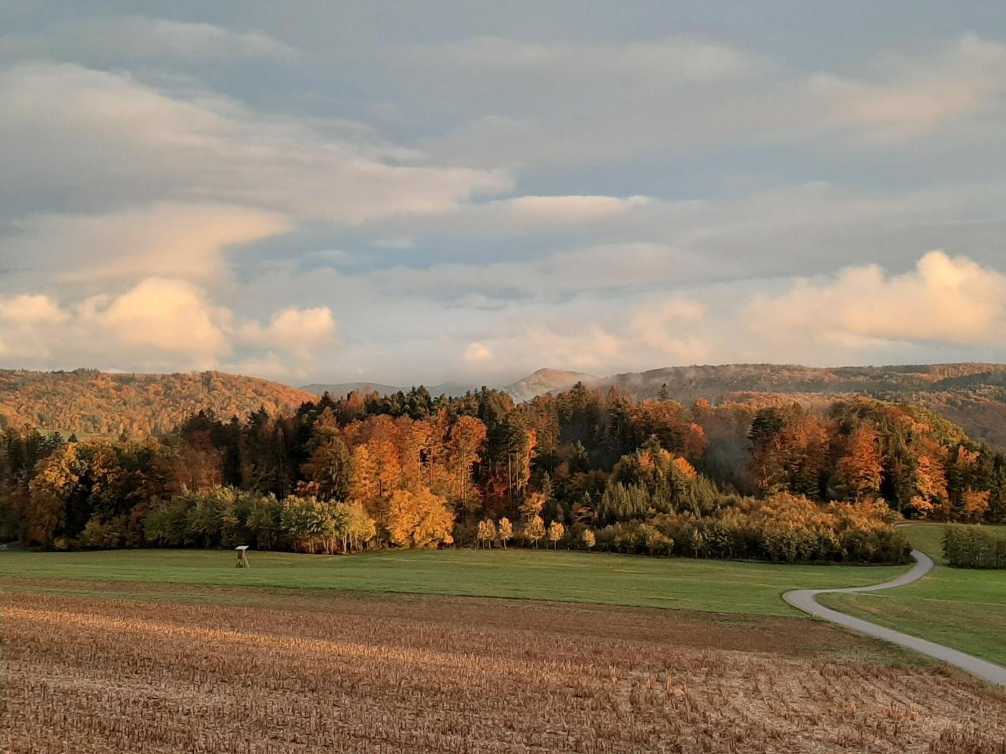 Hochsalerblick Apartamento Laufenburg Exterior foto